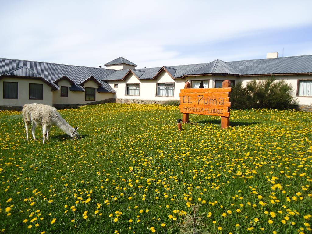 Hosteria El Puma El Chalten Exteriör bild